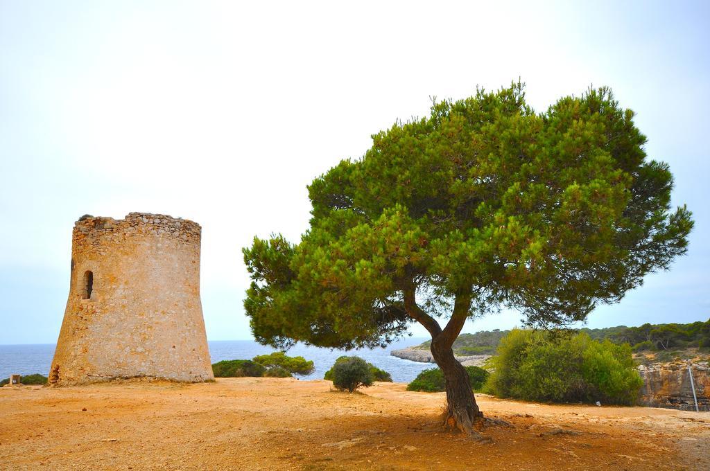Houm Villa Cala Pi Cala Pi  Oda fotoğraf